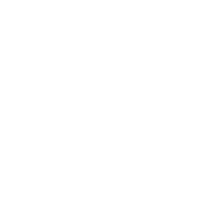 ����������� �� ����������� ����� �������� �Fiat club� - ������ �� 133 ���.