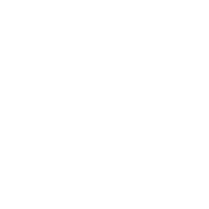      Ford club -   133 .