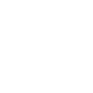      Honda club -   133 .