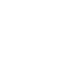      Kia club -   133 .