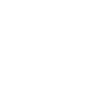      Land Rover club -   133 .