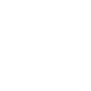      Lexus club -   133 .