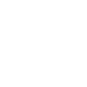      Mazda club -   133 .