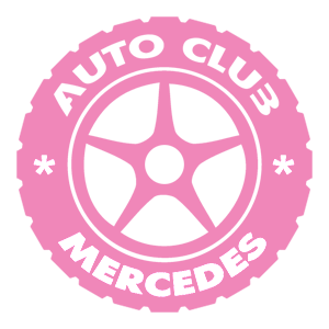   Mercedes club -   133 .