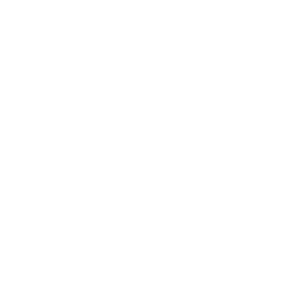      Mercedes club -   133 .