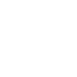   Opel club -   133 .