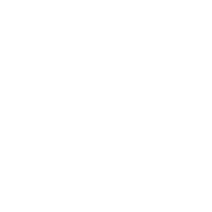      Opel club -   133 .