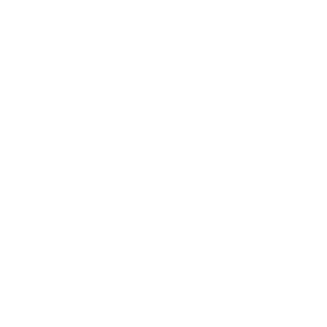      Peugeot club -   133 .