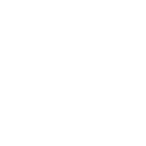     Renault club -   133 .