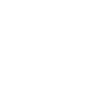   Rolls-Royce club -   133 .