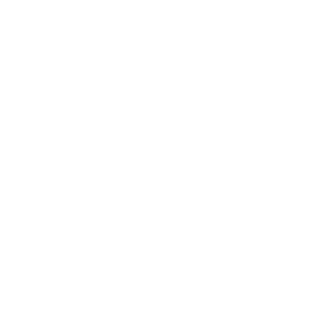  SAAB club