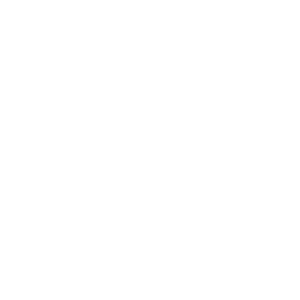      SAAB club -   133 .