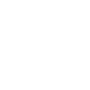      SEAT club -   133 .