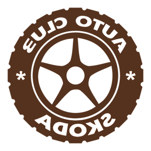      Skoda club -   133 .