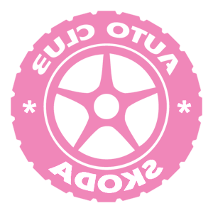      Skoda club -   133 .