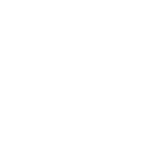      Skoda club -   133 .