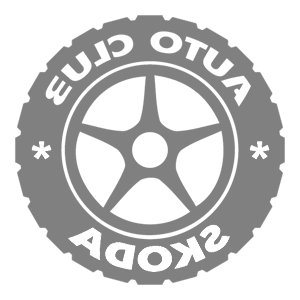      Skoda club -   133 .