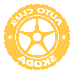      Skoda club -   133 .