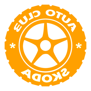     Skoda club -   133 .