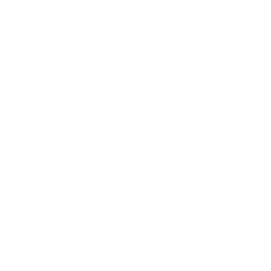      Subaru club -   133 .