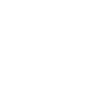      Suzuki club -   133 .