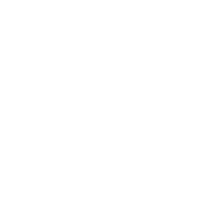     Toyota club -   133 .