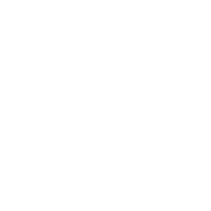   Volkswagen club -   133 .