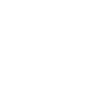     Volkswagen club -   133 .