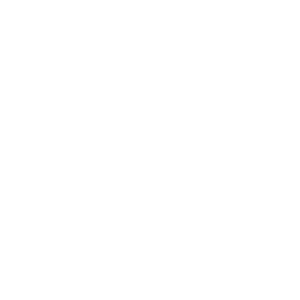      VAZ club -   133 .