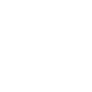 ����������� �� ����������� ����� �������� �Lifan (�����)� - ������ �� 133 ���.