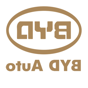    -  BYD () -   114 .