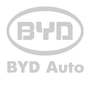   BYD () -   114 .