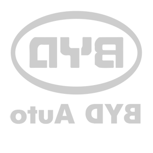      BYD () -   114 .