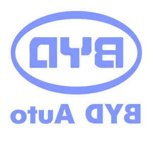      BYD () -   114 .
