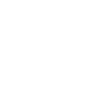  Dongfeng ( )
