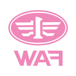      FAW () -   133 .