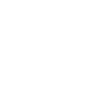      FAW () -   133 .