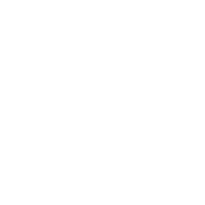     Lifan -   133 .