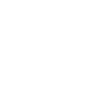     Chery -   133 .