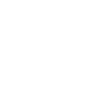     Great Wall -   133 .