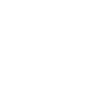        BYD -   133 .