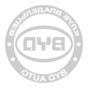    -    BYD -   133 .