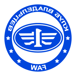        FAW -   133 .