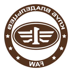        FAW -   133 .