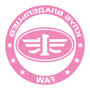        FAW -   133 .