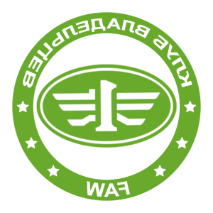    -    FAW -   133 .