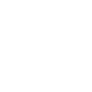        FAW -   133 .