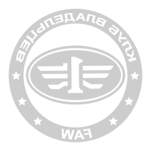    -    FAW -   133 .