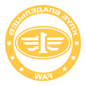        FAW -   133 .