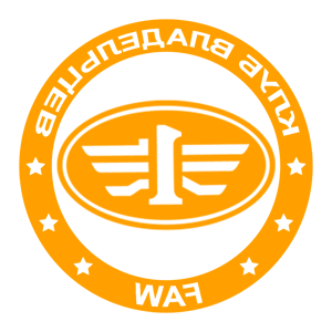        FAW -   133 .